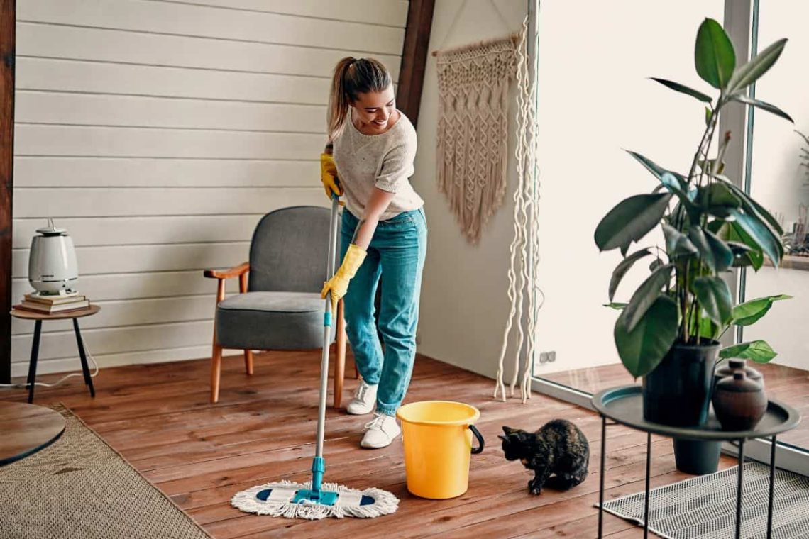 Top 10 House Cleaning Services Tips: Ultimate Guide