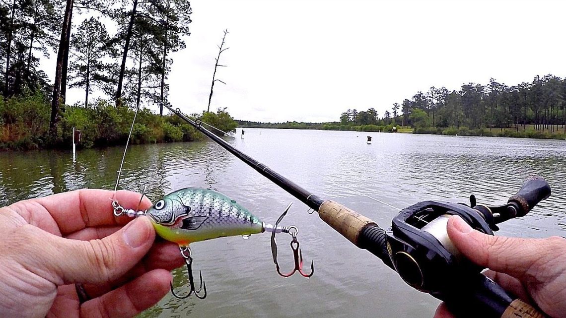 The Best Fishing Spots After Rain: Your Guide To Success